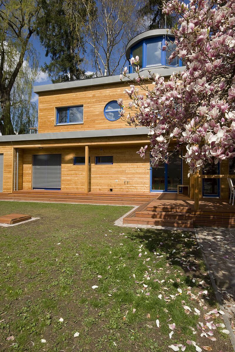 parnik-pod-magnolii-magnolie