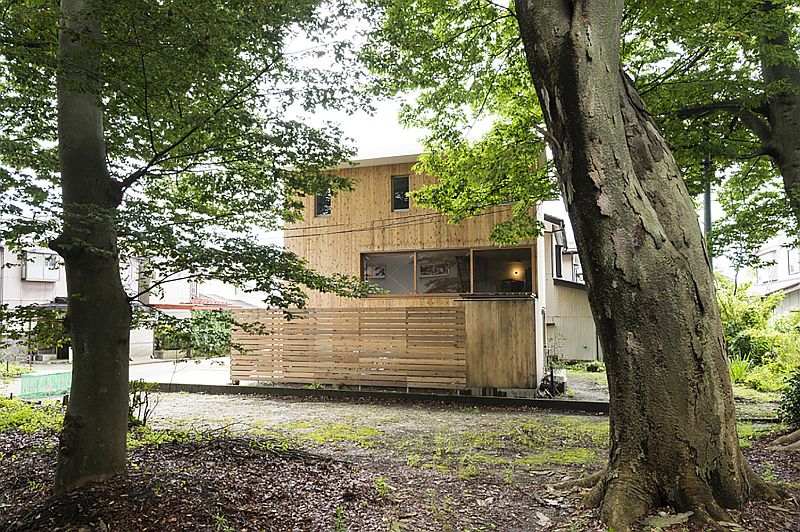 drevostavba-zahranicni-cely-dum