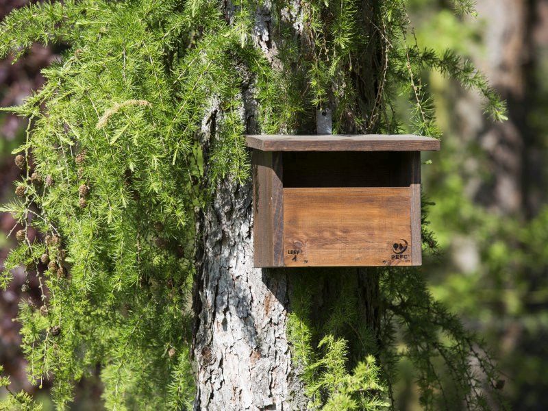drevene-domecky-v-lese-budka-kosa