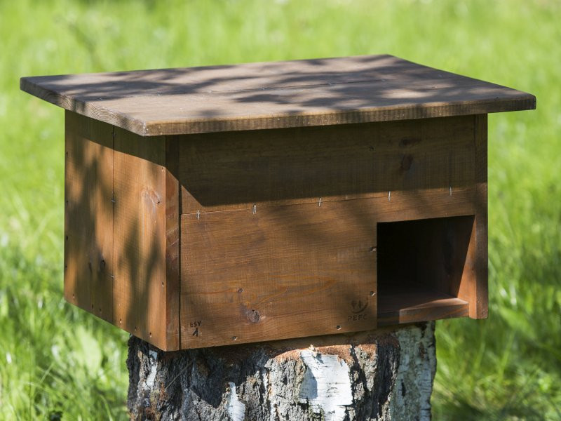 drevene-domecky-v-lese-budka-pro-jezka