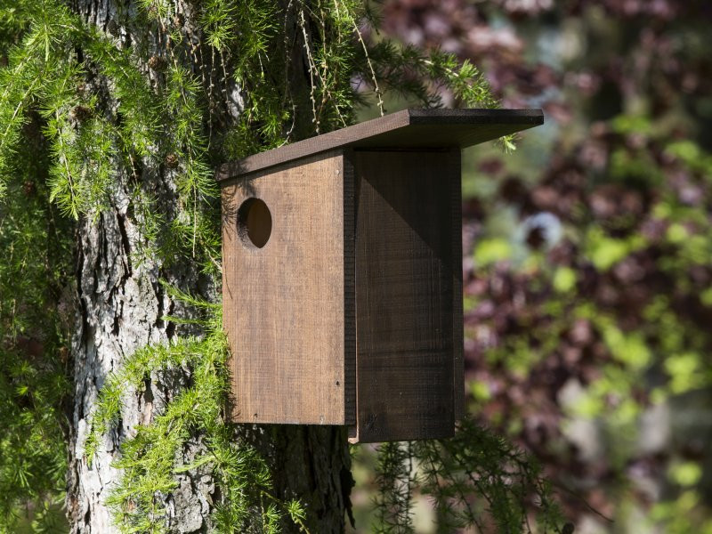 drevene-domecky-v-lese-budka-pro-veverku