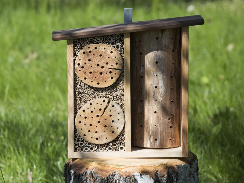 drevene-domecky-v-lese-hmyzovnik-domek