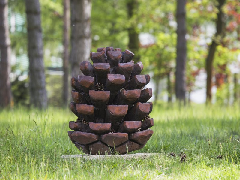 drevene-domecky-v-lese-siska