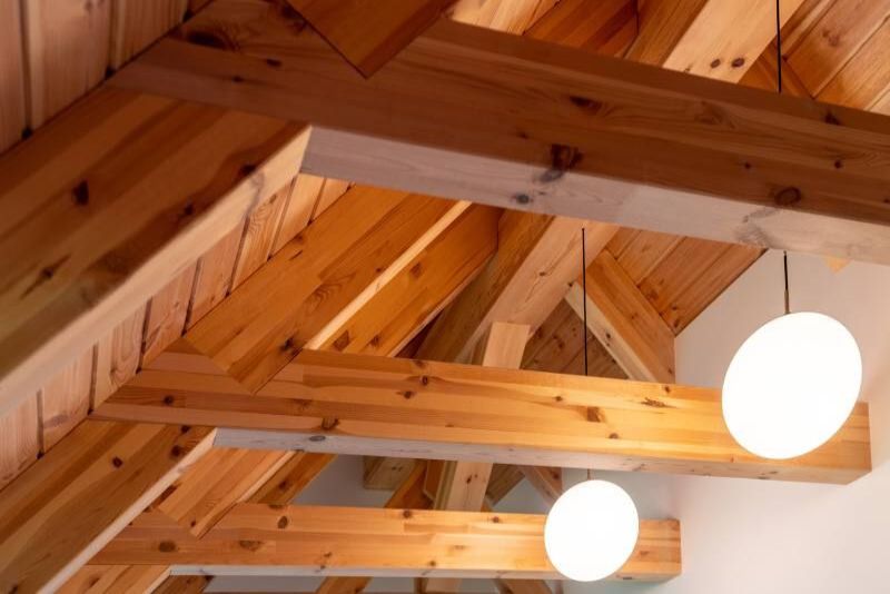 DrevoaStavby.cz | Moderní skeletová roubenka DrevoaStavby.cz | Moderní skeletová roubenka