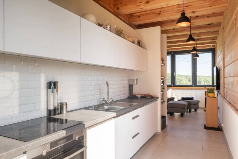 DrevoaStavby.cz | Moderní skeletová roubenka DrevoaStavby.cz | Moderní skeletová roubenka