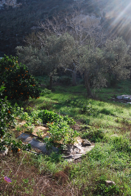 permakulturni-zahrada-2