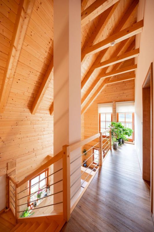 DrevoaStavby.cz Roubenka na louce, kde srnky dávají dobrou noc DrevoaStavby.cz Roubenka na louce, kde srnky dávají dobrou noc patro_kopie