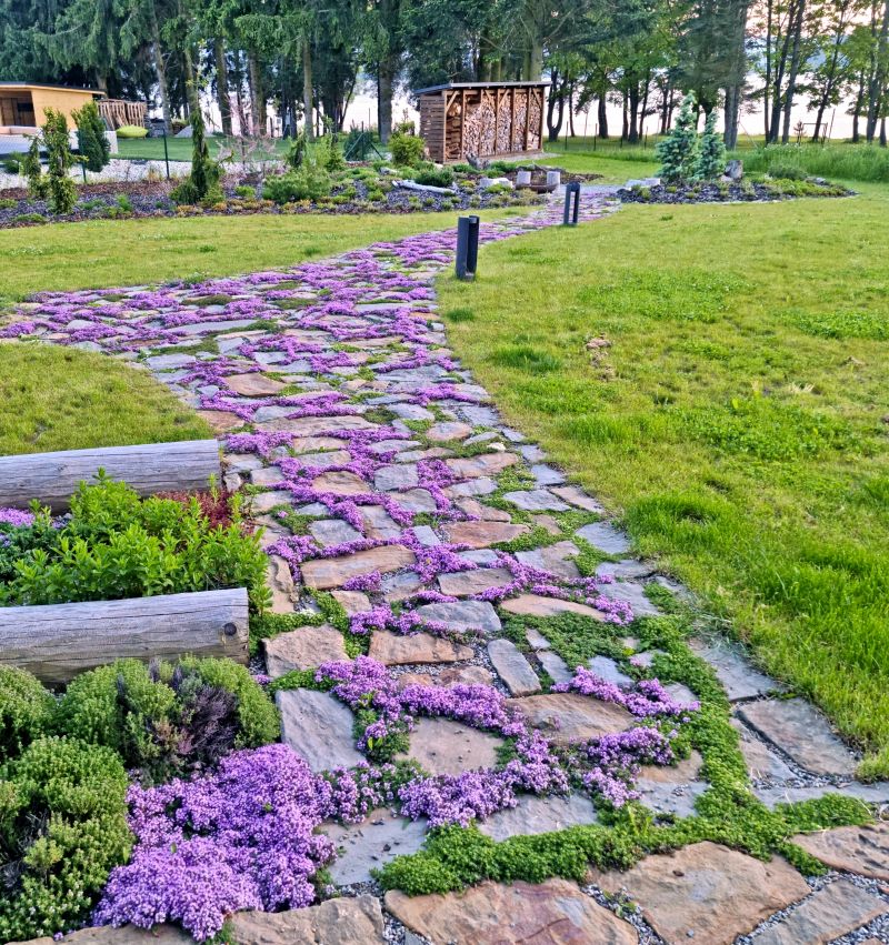 DrevoaStavby.cz Srub z mohutných smrkových kulatin Slovensko DrevoaStavby.cz Srub z mohutných smrkových kulatin Slovensko Jaromir-Koudela