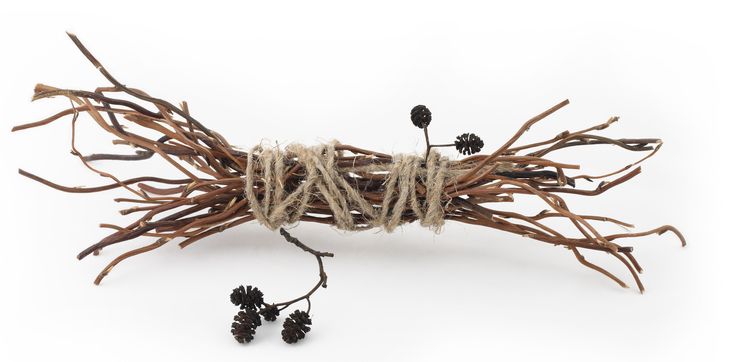 jak-spravne-topit-chrasti