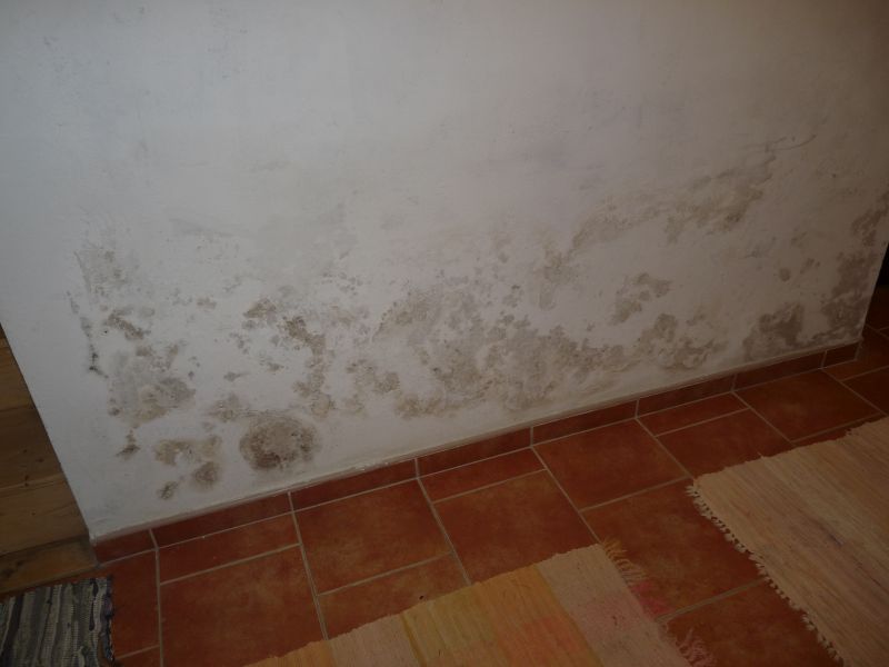 DrevoaStavby.cz Oprava dřevěné a nosné konstrukce DrevoaStavby.cz Oprava dřevěné a nosné konstrukce