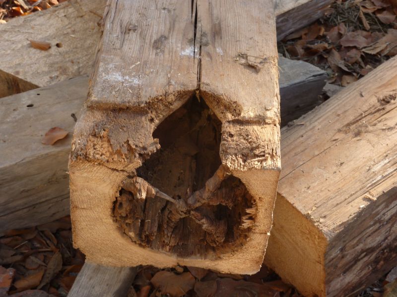 DrevoaStavby.cz Oprava dřevěné a nosné konstrukce DrevoaStavby.cz Oprava dřevěné a nosné konstrukce