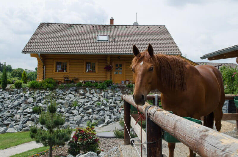 srubovy-ranc-pro-kone-i-lidi