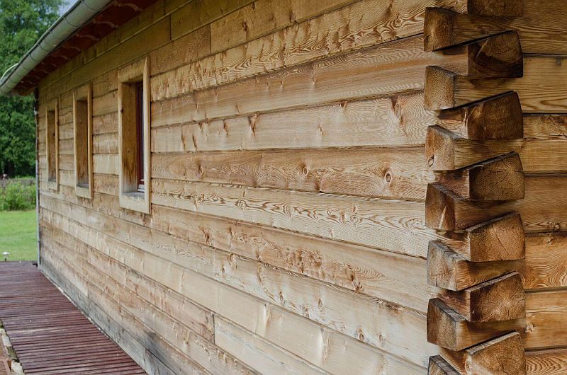 cedrovy-bungalov-navsteva-detail-dreva