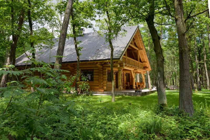 srub-uprostred-lesa-1