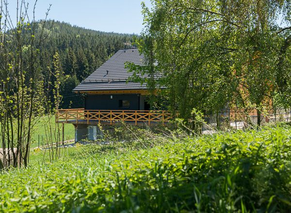 drevostavba-OK-Pyrus-zadni-cast