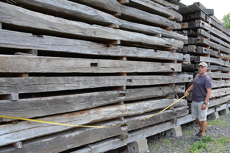 stare-drevo-luxwood-uvodni