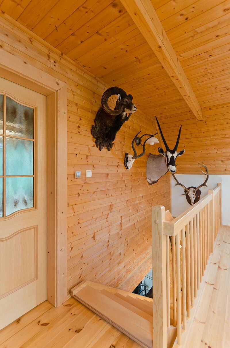 navsteva-srubu-interier-schodiste-trofeje