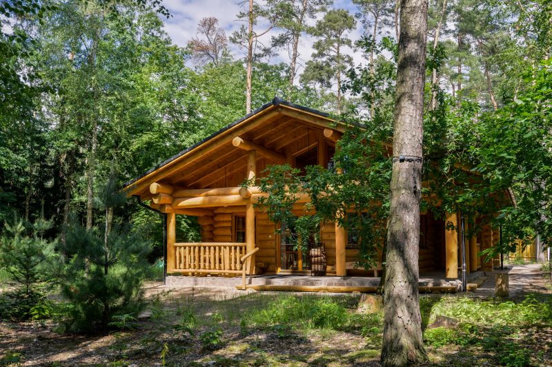 masivni-srub-v-lese-stit-domu