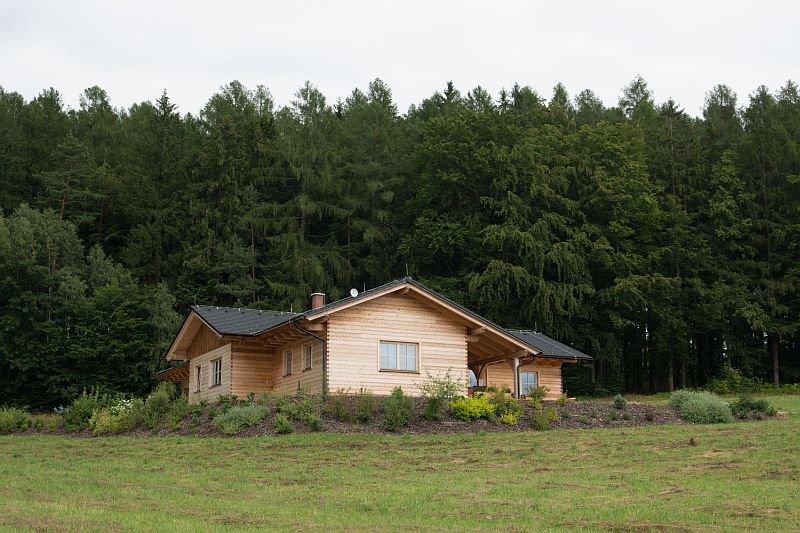 roubenka-BARTOS-u-lesa