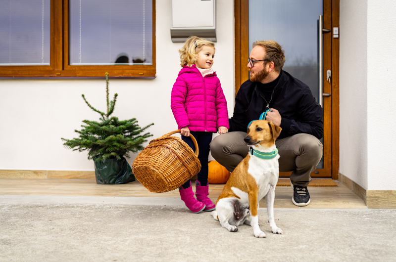 DrevoaStavby.cz | Kvalitn&iacute; okna a dveře LOMAX