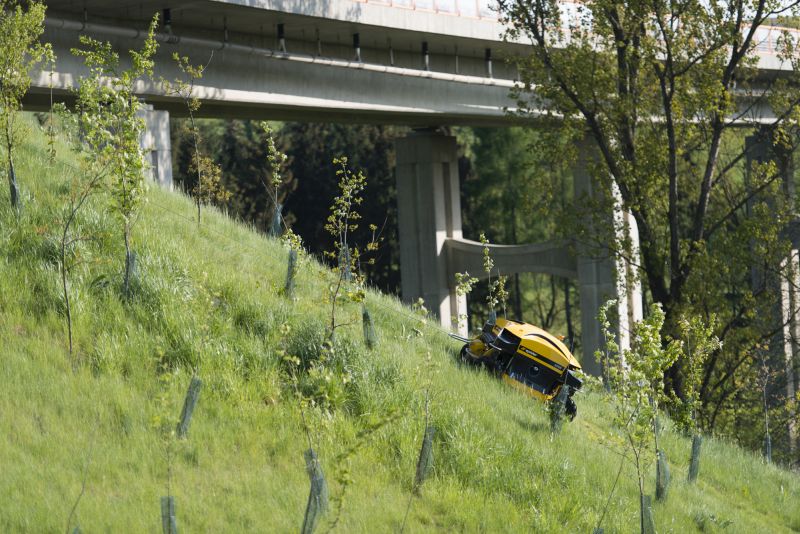 DrevoaStavby.cz Moderní technika a uměla inteligence pomáhá lesním školkám DrevoaStavby.cz Moderní technika a uměla inteligence pomáhá lesním školkám