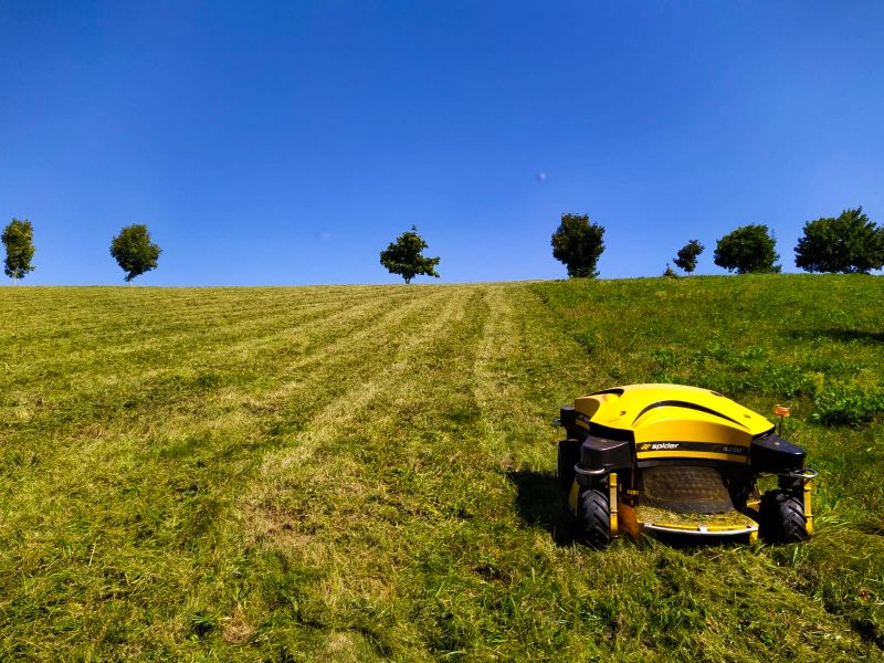 DrevoaStavby.cz Moderní technika a uměla inteligence pomáhá lesním školkám DrevoaStavby.cz Moderní technika a uměla inteligence pomáhá lesním školkám