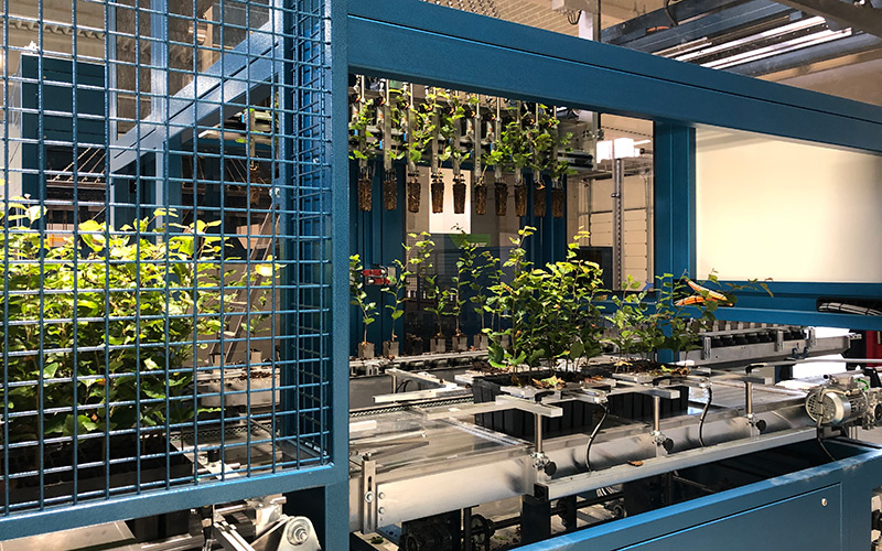 DrevoaStavby.cz Moderní technika a uměla inteligence pomáhá lesním školkám moderní třídící linka DrevoaStavby.cz Moderní technika a uměla inteligence pomáhá lesním školkám moderní třídící linka