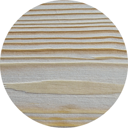 Textura borovicového dřeva Textura borovicového dřeva