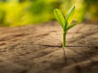 Studentsk&aacute; soutěž Stavby s vůn&iacute; dřeva 2021