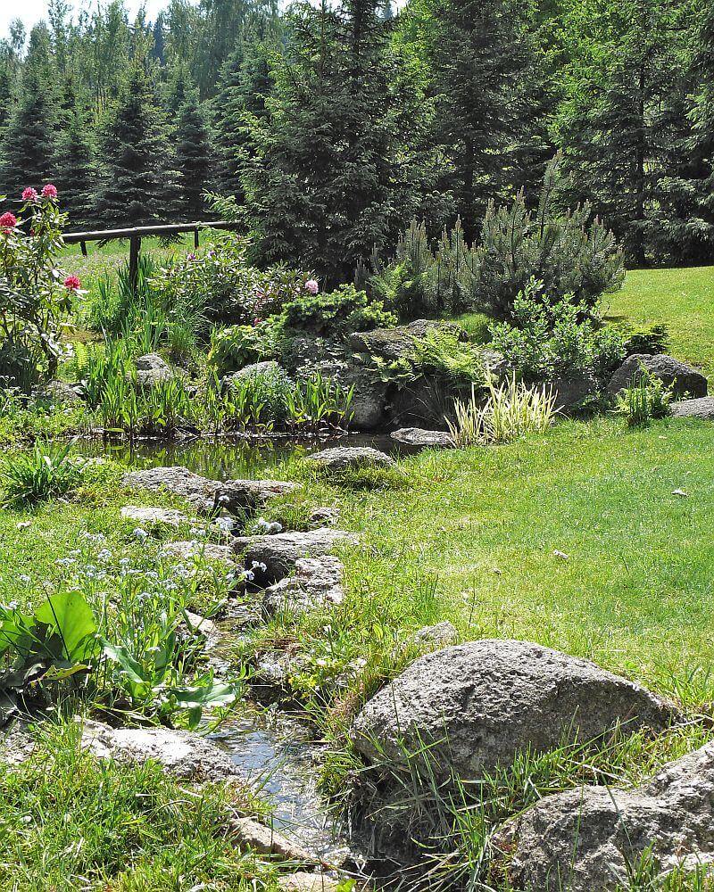 obytna-zahrada-jezirko-potucek-kameny-rostliny