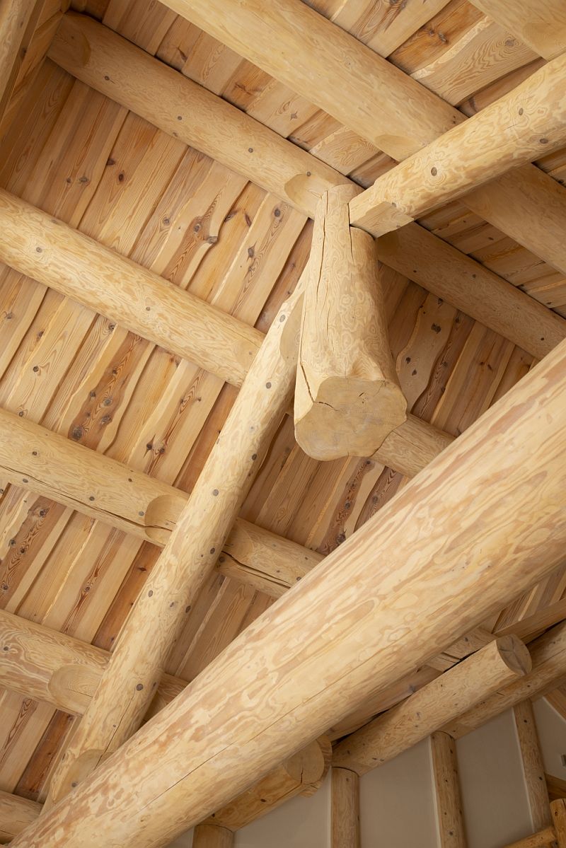 navsteva-drevostavby-domov-v-srdci-beskyd-sruby-pacak-interier-krov