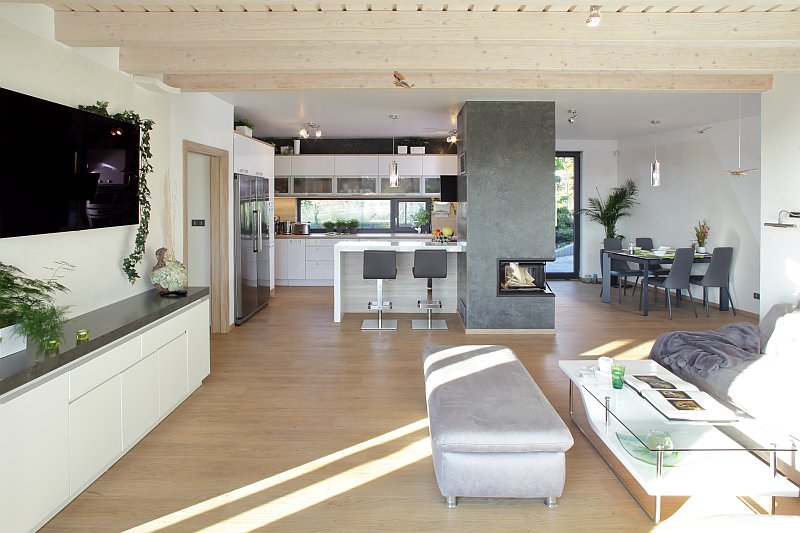 navsteva-drevostavby-jako-hradni-pani-panelova-konstrukce-interier-hlavni-obytny-prostor-krbova-vlozka