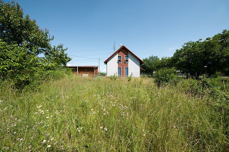 navsteva-drevostavby-mensi-drevostavba-i-zazemi-pro-psy-avanta-exterier-pozemek