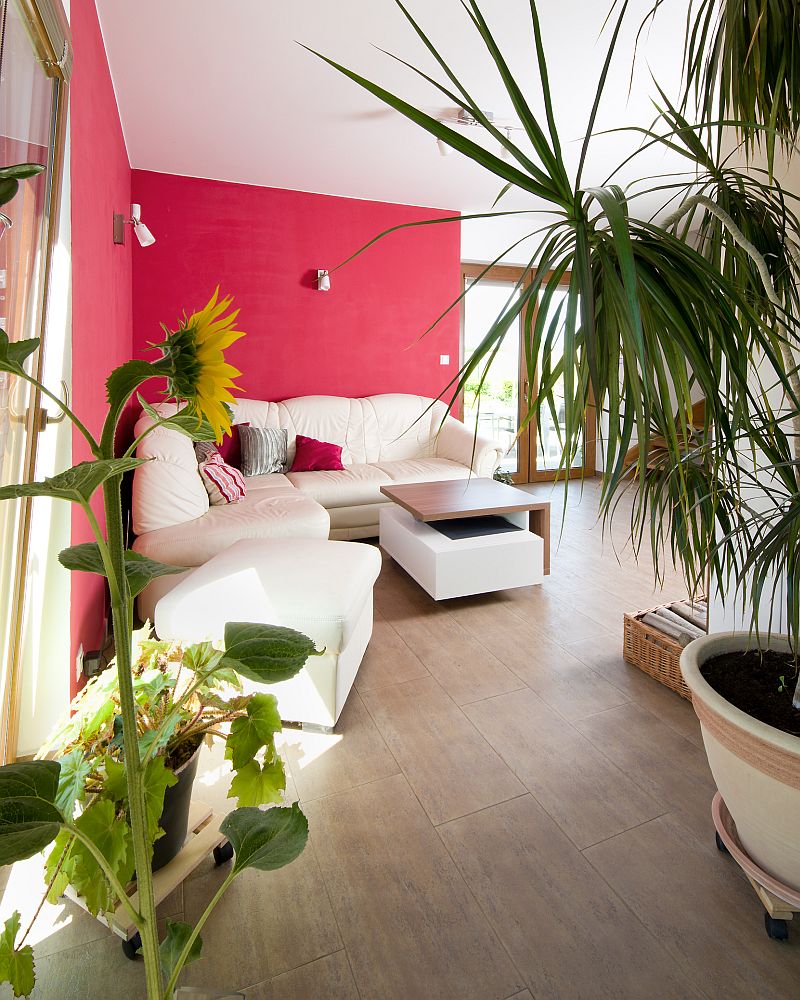 navsteva-drevostavby-mensi-drevostavba-i-zazemi-pro-psy-avanta-interier-obyvaci-pokoj-rohova-sedacka