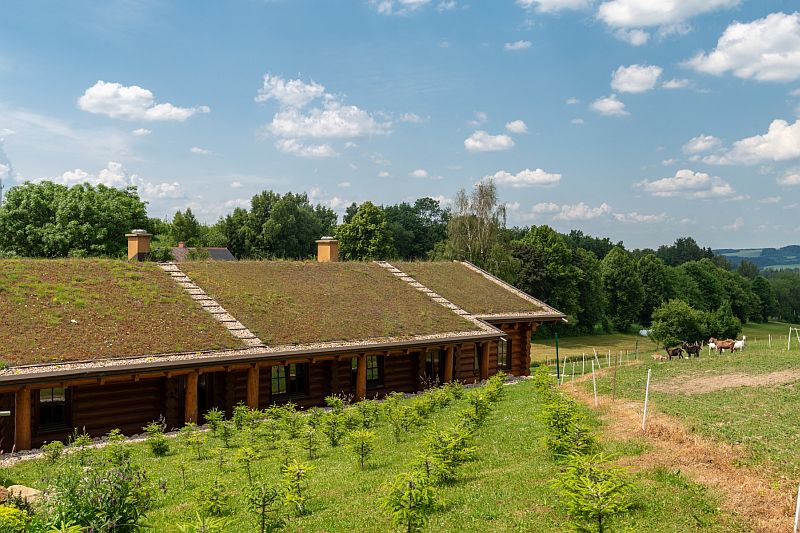 navsteva-drevostavby-od-rodokapsu-k-osudovemu-setkani-sruby-rajec-srub-z-kulatiny-zelena-strecha-exterier-zahrada