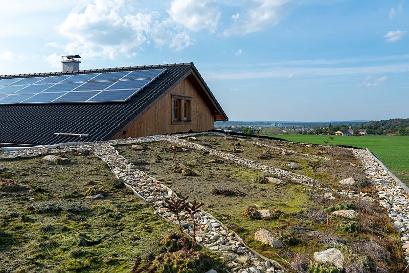 navsteva-drevostavby-podle-vlastni-sablony-exterier-zelena-strecha-votovoltaika