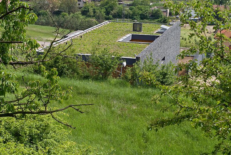 navsteva-drevostavby-velkorysy-vyminek-extereir-ve-svahu-zelena-strecha