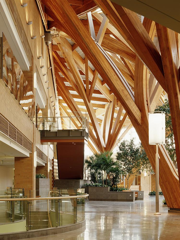 nemocnice-credit-valley-interier-5