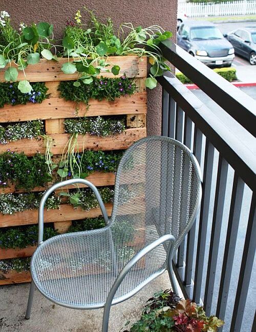 paleta-jako-vertikalni-zahrada-na-balkone-domu