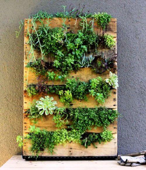 paleta-vertikalni-zahradka