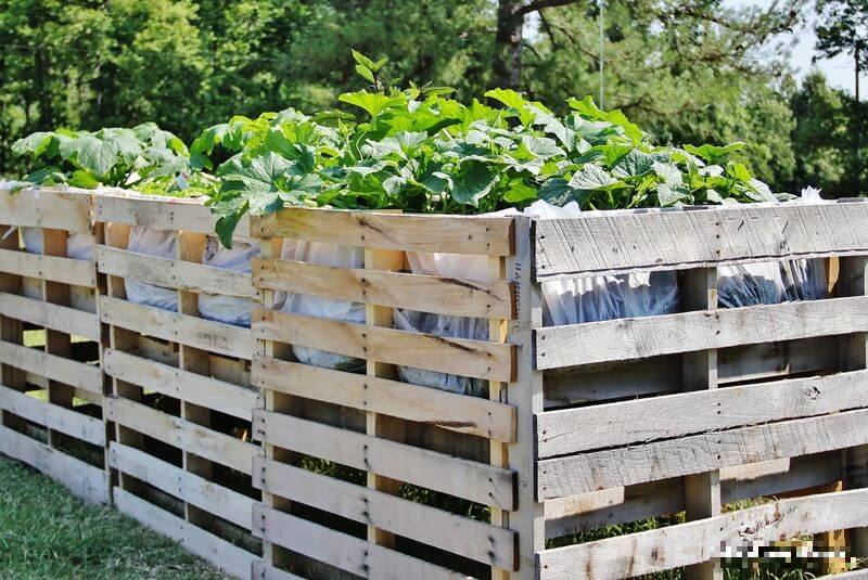 vyvyseny-zahon-z-drevenych-palet