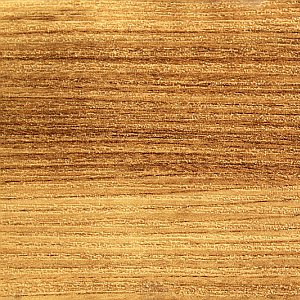 dubove-drevo-textura-dub-dreamstime