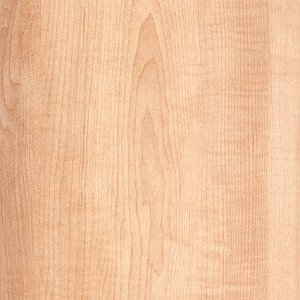 javorove-drevo-textura-javor-dreamstime