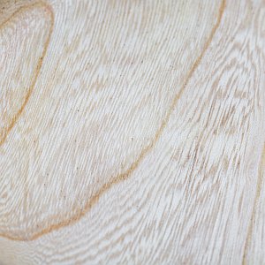 jilmove-drevo-textura-jilm-dreamstime