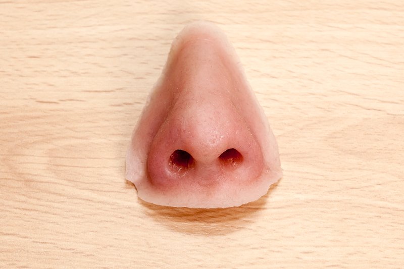 Proč dřevo voní? O vůni dřeva a vlivu na zdraví člověka