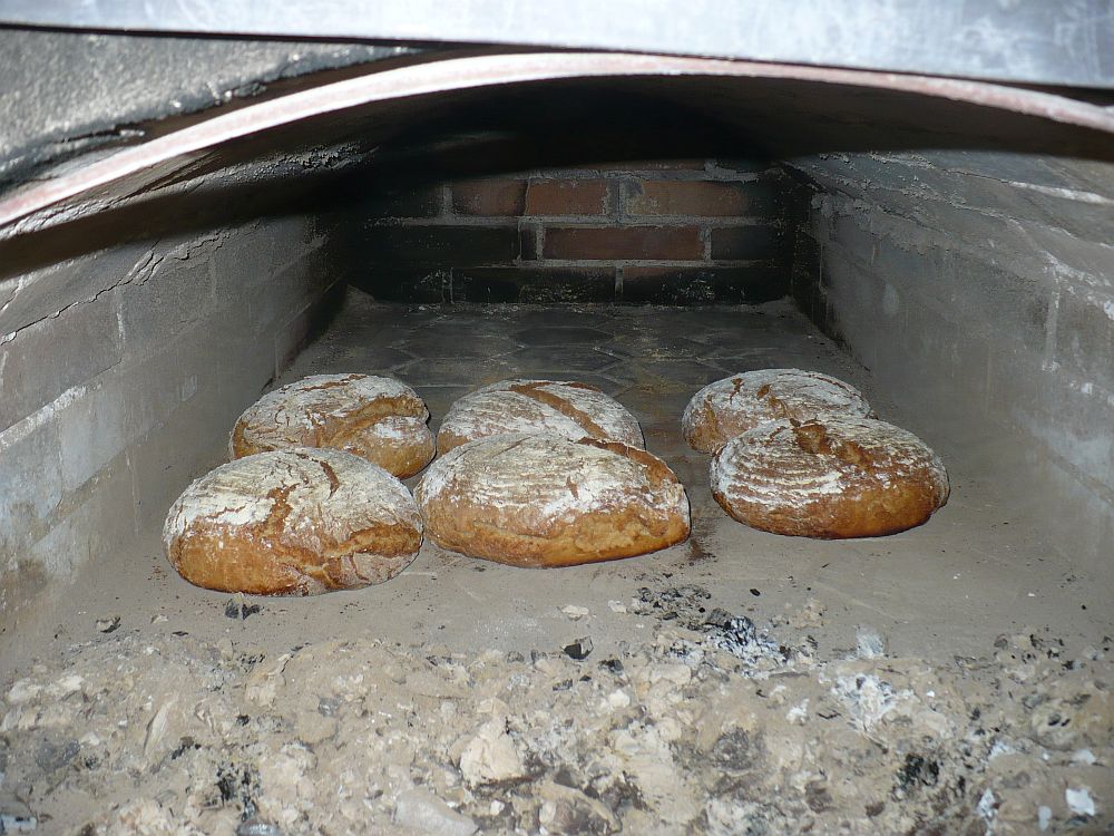 DrevoaStavby.cz | Podoorlický skanzen v Krňovicích funkční chlebová pec DrevoaStavby.cz | Podoorlický skanzen v Krňovicích funkční chlebová pec