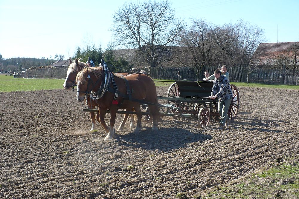 DrevoaStavby.cz | Podoorlický skanzen v Krňovicích obdělávání pole DrevoaStavby.cz | Podoorlický skanzen v Krňovicích obdělávání pole