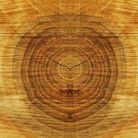 thumb feng-shui-element-drevo