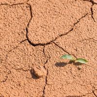 thumb feng-shui-element-zeme