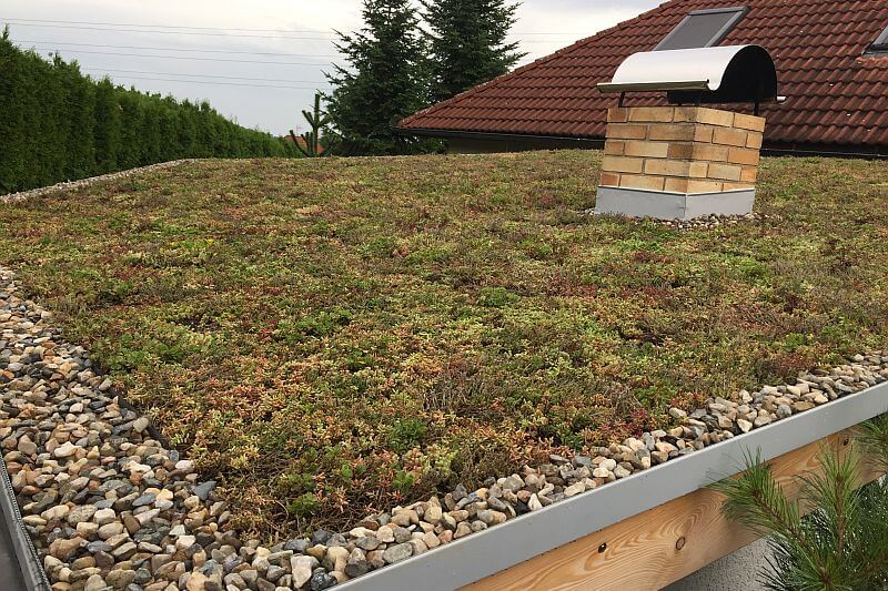 zelena-extenzivni-strecha-drevostavba